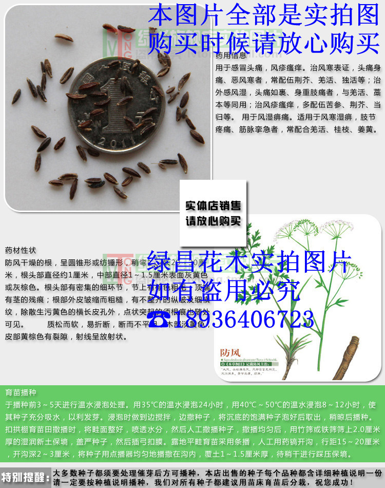 花木种子批发